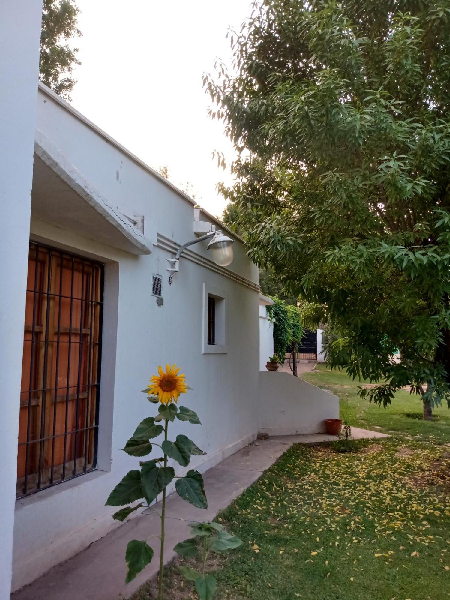 Los Siete Chakras Bed & Breakfast Lujan de Cuyo Екстериор снимка